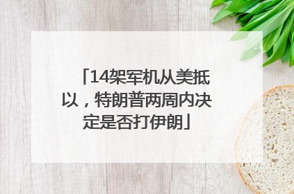 14架军机从美抵以，特朗普两周内决定是否打伊朗