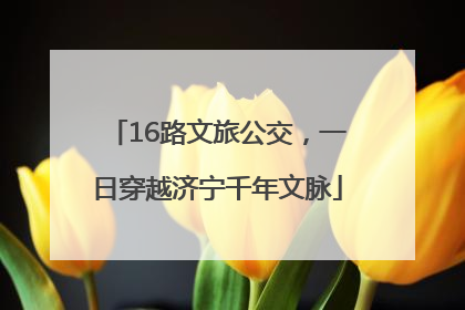16路文旅公交，一日穿越济宁千年文脉
