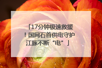 17分钟极速救援！国网石首供电守护江豚不断“电”