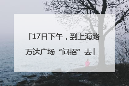 17日下午，到上海路万达广场“问招”去
