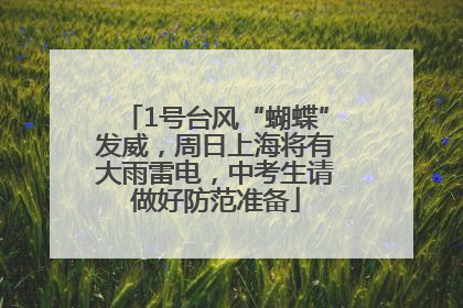 1号台风“蝴蝶”发威，周日上海将有大雨雷电，中考生请做好防范准备