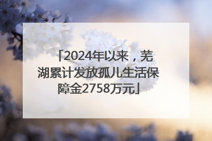 2024年以来，芜湖累计发放孤儿生活保障金2758万元
