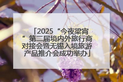 2025“今夜梁宵”第二届境内外旅行商对接会暨无锡入境旅游产品推介会成功举办