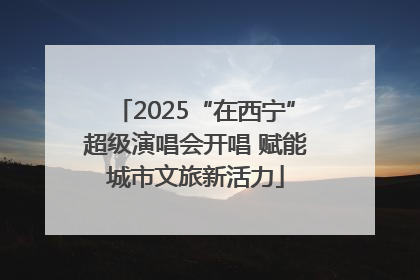 2025“在西宁”超级演唱会开唱 赋能城市文旅新活力