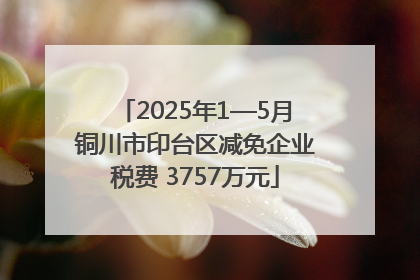2025年1—5月铜川市印台区减免企业税费 3757万元