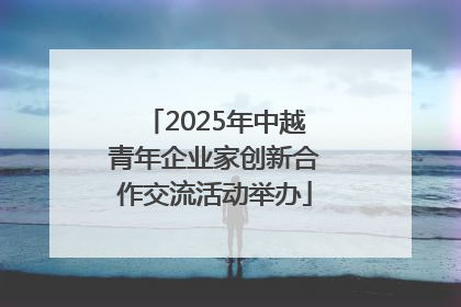 2025年中越青年企业家创新合作交流活动举办