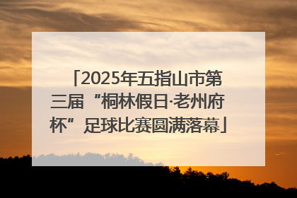 2025年五指山市第三届“桐林假日·老州府杯”足球比赛圆满落幕