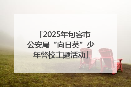 2025年句容市公安局“向日葵”少年警校主题活动