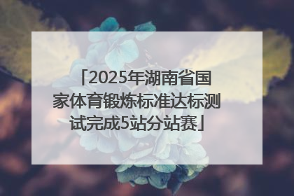 2025年湖南省国家体育锻炼标准达标测试完成5站分站赛