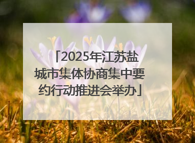 2025年江苏盐城市集体协商集中要约行动推进会举办