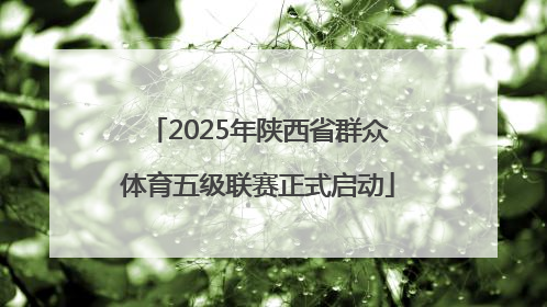 2025年陕西省群众体育五级联赛正式启动