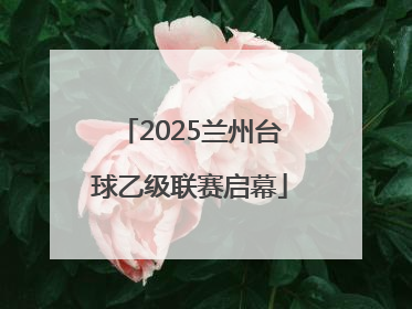 2025兰州台球乙级联赛启幕