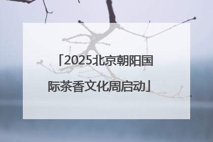 2025北京朝阳国际茶香文化周启动