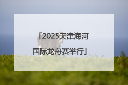 2025天津海河国际龙舟赛举行