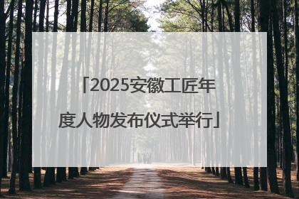 2025安徽工匠年度人物发布仪式举行