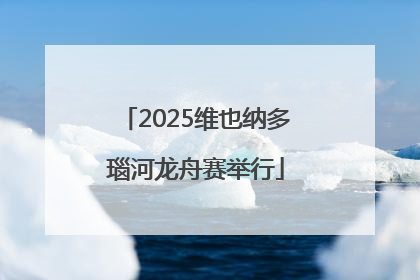 2025维也纳多瑙河龙舟赛举行