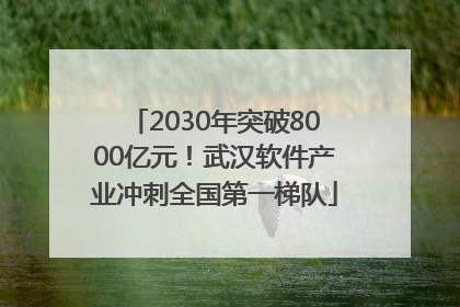 2030年突破8000亿元！武汉软件产业冲刺全国第一梯队