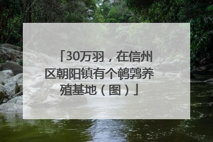30万羽，在信州区朝阳镇有个鹌鹑养殖基地（图）
