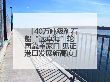 40万吨级矿石船“远卓海”轮 再靠董家口 见证港口发展新高度