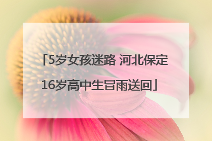5岁女孩迷路 河北保定16岁高中生冒雨送回
