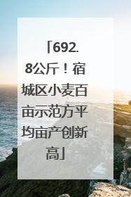 692.8公斤！宿城区小麦百亩示范方平均亩产创新高