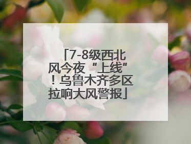 7-8级西北风今夜“上线”！乌鲁木齐多区拉响大风警报