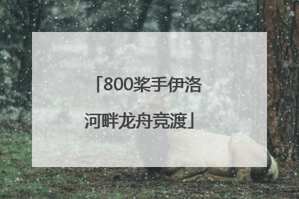 800桨手伊洛河畔龙舟竞渡