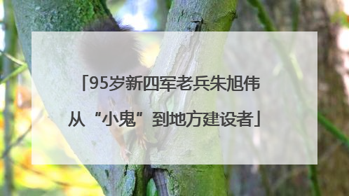 95岁新四军老兵朱旭伟 从“小鬼”到地方建设者