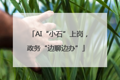 AI“小石”上岗，政务“边聊边办”