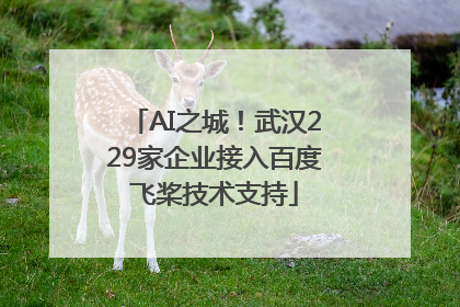 AI之城！武汉229家企业接入百度飞桨技术支持