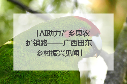 AI助力芒乡果农扩销路——广西田东乡村振兴见闻