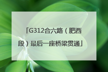 G312合六路（肥西段）最后一座桥梁贯通