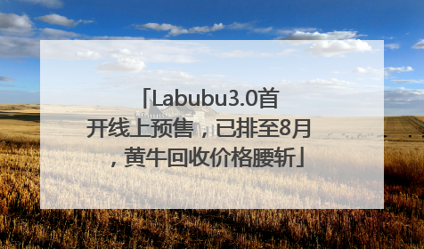 Labubu3.0首开线上预售，已排至8月，黄牛回收价格腰斩