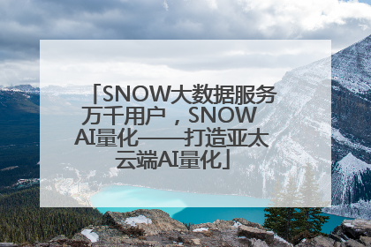 SNOW大数据服务万千用户，SNOW AI量化——打造亚太云端AI量化