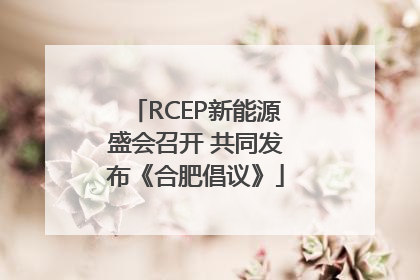 RCEP新能源盛会召开 共同发布《合肥倡议》