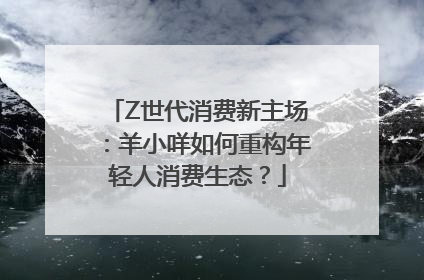 Z世代消费新主场：羊小咩如何重构年轻人消费生态？