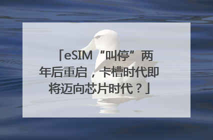 eSIM“叫停”两年后重启，卡槽时代即将迈向芯片时代？